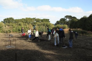 Orchard planting kids
