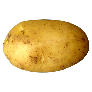 Potato Avatar