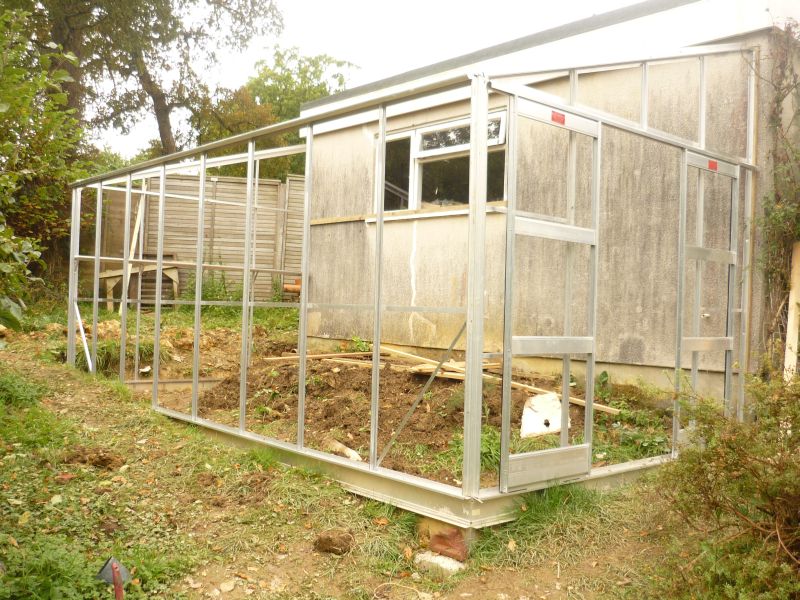 In Search Of The Fabled Permaculture Chickengreenhouse Transition